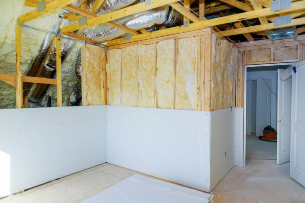 Best Commercial Insulation in Savannah, TX