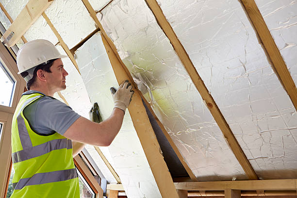 Best Specialized Insulation Services in Savannah, TX